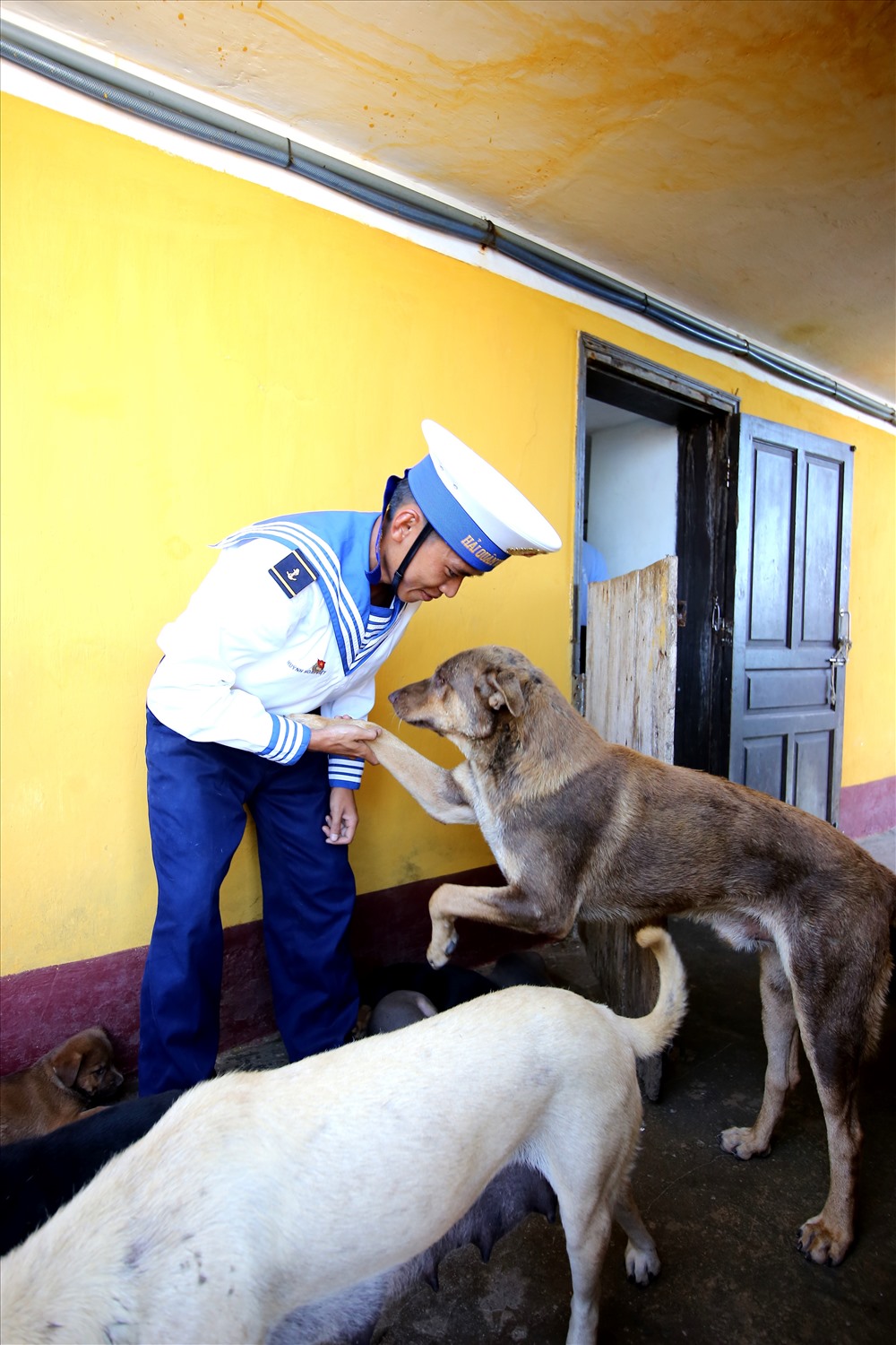Những chú chó là người bạn thân thiết trên đảo của các cán bộ, chiến sĩ.
