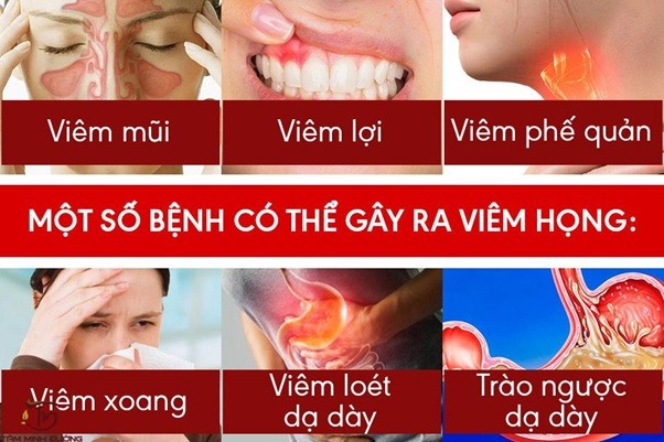 Thông Tin Kết Quả Tìm Kiếm: 