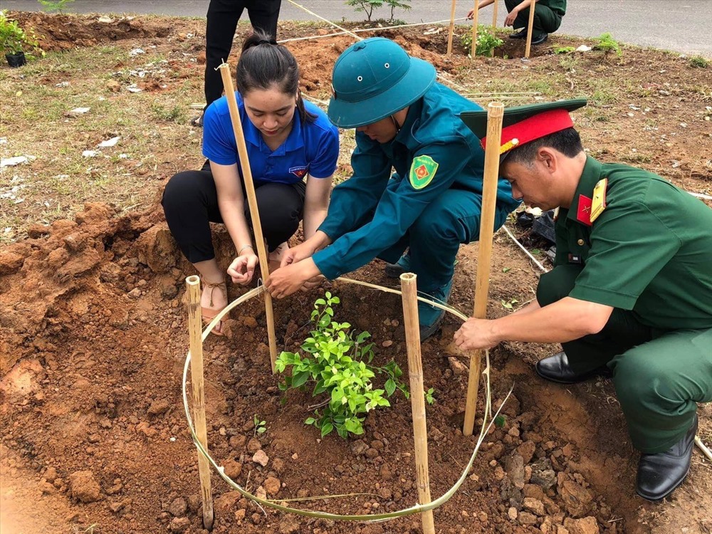 Các cơ quan, đơn vị hưởng ứng phong trào trồng hoa giấy với mong muốn biến Lao Bảo trở thành thị trấn hoa giấy.