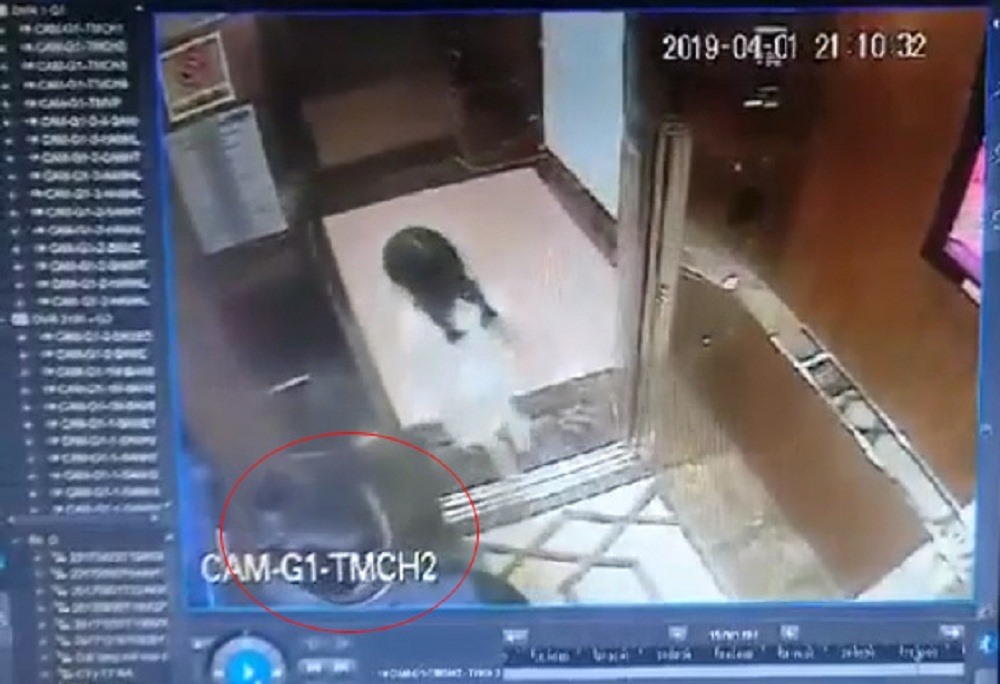Hành động của người đàn ông khiến cháu bé hoảng sợ chạy ra ngoài thang máy.
