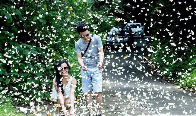 Ảnh: Nguyễn Phan Trang
