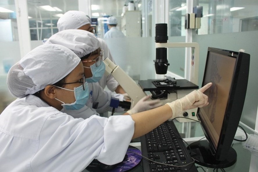 Các nghiên cứu viên làm việc tại Viện tế bào gốc Trường ĐH Khoa học tự nhiên - ĐH Quốc gia TP.HCM - Ảnh: Minh Châu