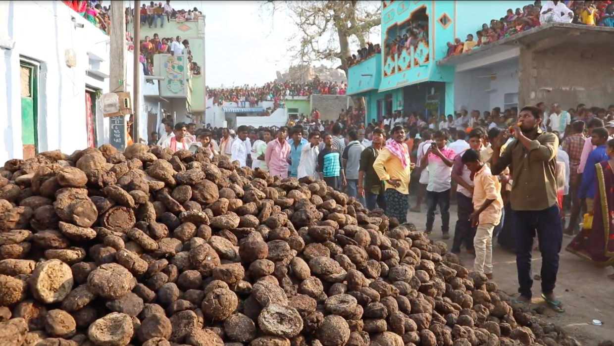 Những tảng phân bò chất đống cho lễ hội ở Ấn Độ. Ảnh: RT. 