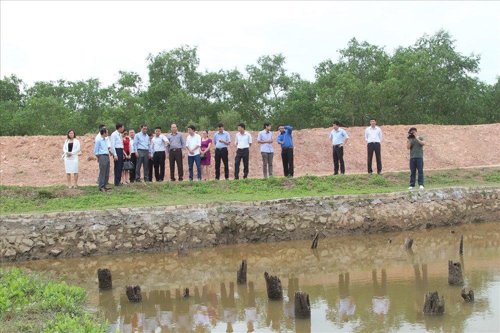 Bãi cọc đầu tiên được phát hiện nằm trong đầm Nhử, phường Yên Giang, trong quá trình đào đắp đê Yên Giang năm 1958. Các cuộc nghiên cứu, khai quật sau đó tại đây đều khẳng định, bãi cọc nằm ở cửa sông Chanh này là một phần của trận địa cọc Bạch Đằng năm 1288. Bãi cọc này rộng 120m2, với khoảng 300 cọc và được đặt trong phạm vi bảo vệ 7,5ha. Hiện, chỉ có bãi cọc này là lộ thiên, thỉnh thoảng hút nước lên để phục vụ khách tham quan. Ảnh: Ngô Đình Dũng