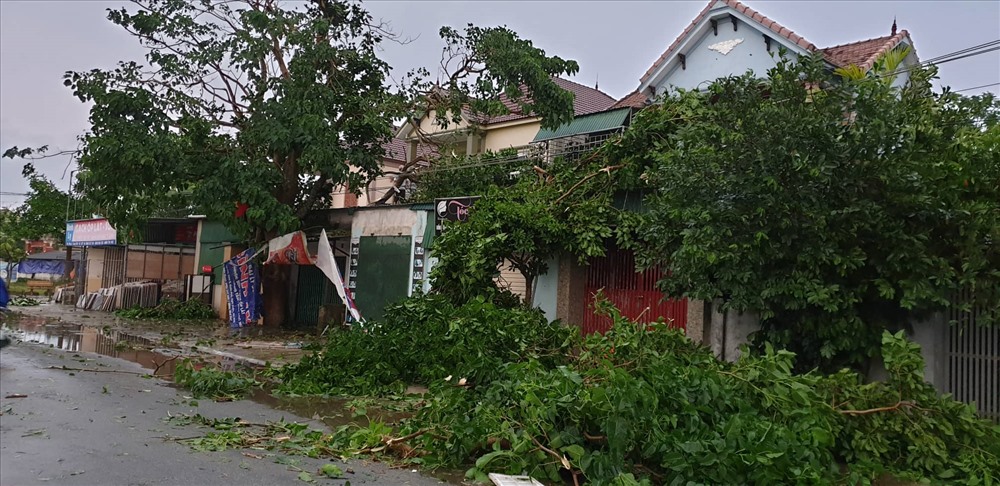 Cây cối gãy đổ, mái tôn bay hàng chục mét - Ảnh: Sơn Nguyễn