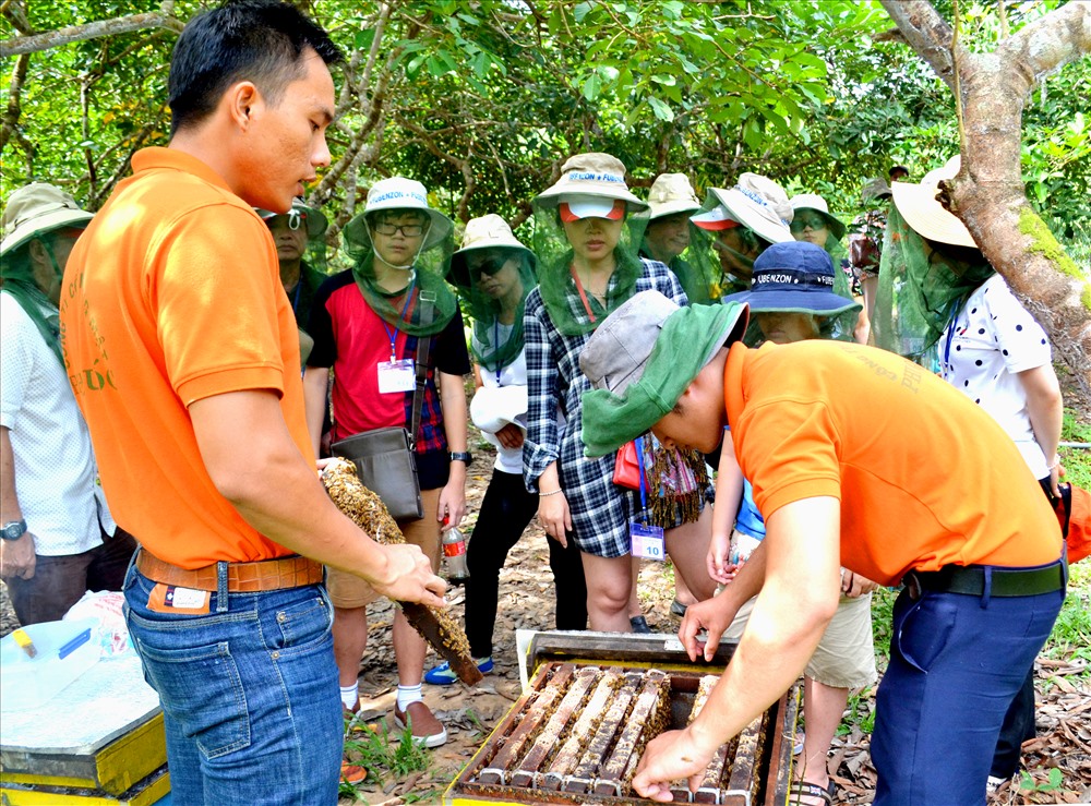 Khách đến tham quan điểm nuôi ong mật Phú Quốc tại ấp Suối Mây xã Dương Tơ. Ảnh: Lục Tùng