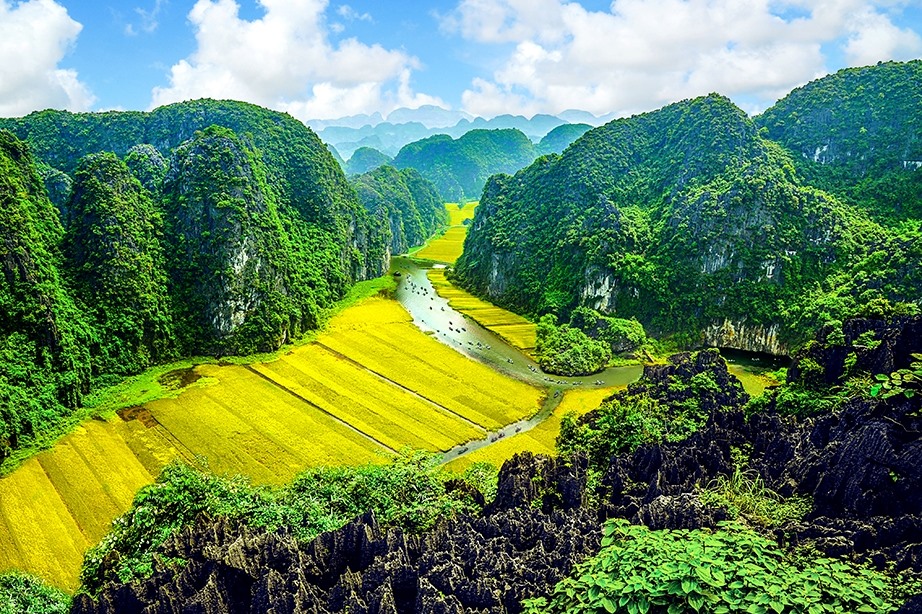 Sắc vàng Tam Cốc nhìn từ trên cao. Ảnh: NT