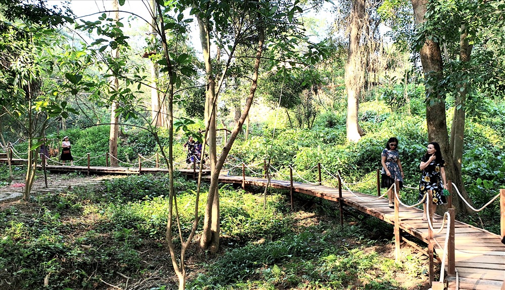 Khung cảnh thiên nhiên hoang sơ với nhiều trải nghiệm tại Công viên Ozo. Ảnh: Lê Phi Long