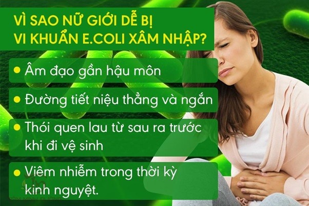 Phụ nữ là đối tượng có nguy cơ mắc bệnh cao hơn so với nam giới