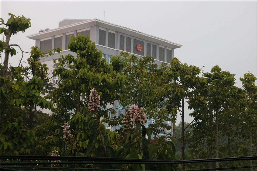 Tương tự ở Đà Nẵng, cơn mưa lớn cũng bất ngờ đổ xuống tại Quảng Nam. Ảnh: Đỗ Vạn