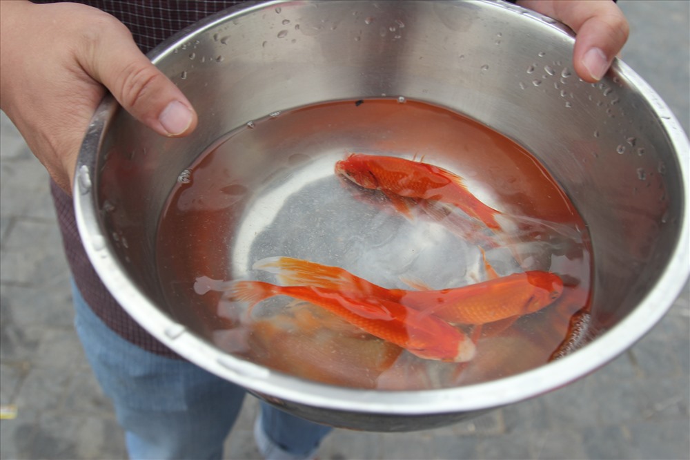 Ngày ông Công, ông Táo 23 tháng chạp