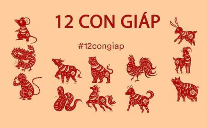 12 con giáp năm 2020 