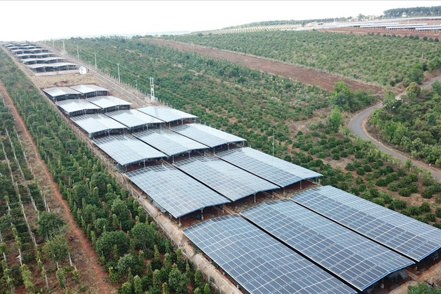 Bùng phát các dự án điện mặt trời