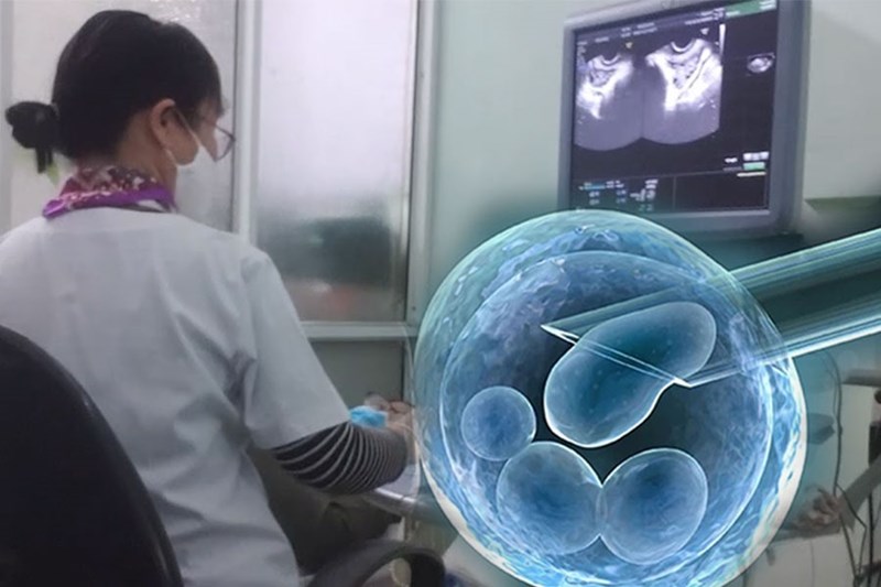 Thị trường ngầm mua bán trứng người