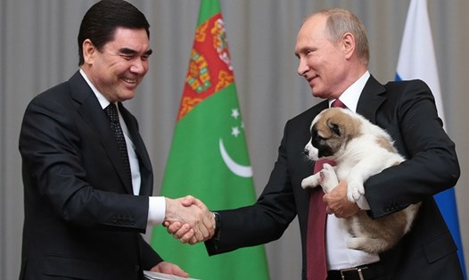 Tổng thống Nga Vladimir Putin được tặng chó quý nhân dịp sinh nhật 65. Ảnh: Tass