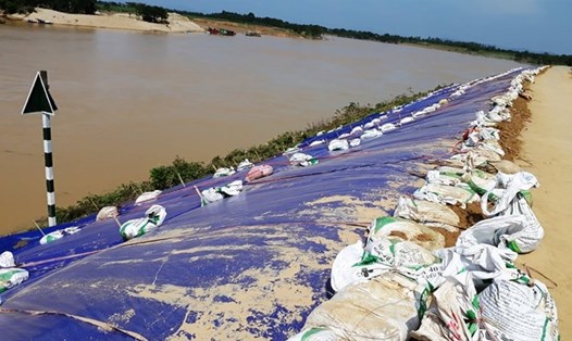 Hàng trăm mét đê sông Chu rạn nứt nghiêm trong khiến người dân lo lắng. (Ảnh: HT)