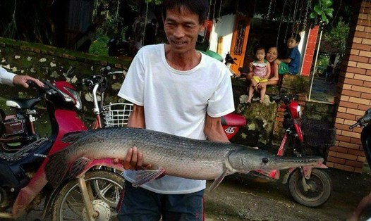 Người hàng xóm của anh Dũng đang bê thử con cá "khủng" dài khoảng 1m, nặng 11kg.