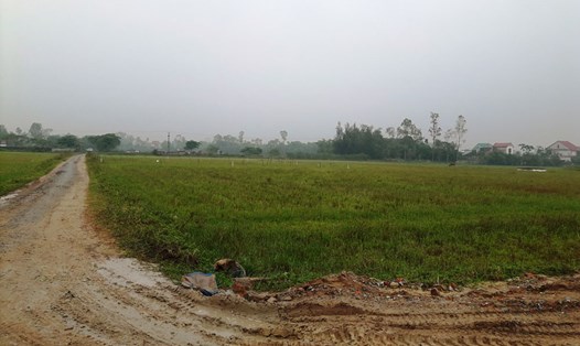Hàng chục nghìn mét vuông đất lúa xã Hưng Lộc được thu hồi để phân lô bán nền. Ảnh: QUANG ĐẠI