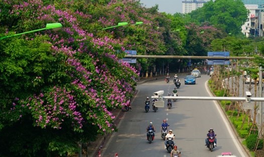 Đường Kim Mã thu hẹp còn 3 m, cấm ôtô để thi công metro Hà Nội. Ảnh: DL