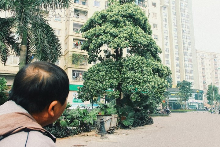 laodong.vn