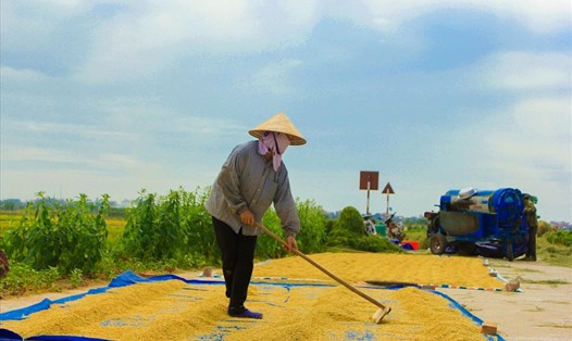 Kinh Môn trở thành huyện đầu tiên đạt chuẩn chương trình Nông thôn mới tại Hải Dương. Ảnh minh họa: Trần Vương