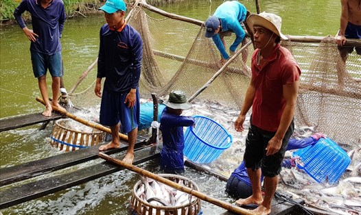 Người dân ĐBSCL chịu ảnh hưởng lớn từ dòng chảy Mekong.Ảnh: LƯU XUÂN