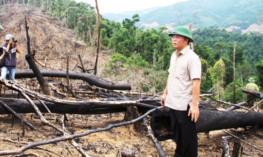 Ông Lê Trí Thanh - Phó Chủ tịch UBND tỉnh Quảng Nam trực tiếp kiểm tra hiện trạng phá rừng Tiên Lãnh. Ảnh: LP