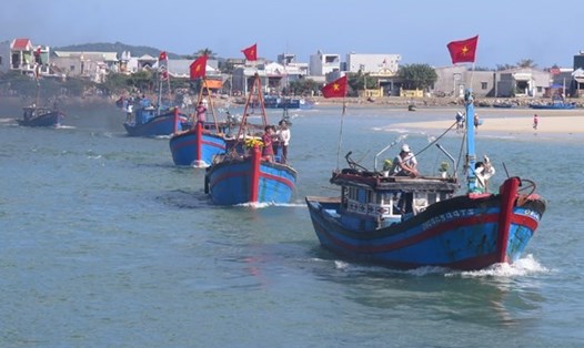 Tàu cá của ngư dân Sa Huỳnh nối đuôi vươn khơi. Ảnh: LĐ
