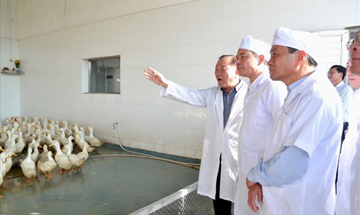 Bộ trưởng Nguyễn Xuân Cường tham quan mô hình giết mổ hiện đại tại huyện Cao Lãnh.
