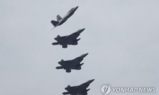Dàn tiêm kích F-22 Raptor tại Hàn Quốc. Ảnh: Yonhap