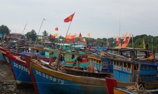 TPHCM cấm tàu thuyền ra khơi từ 16h ngày 23.12. Trong ảnh tàu thuyền tránh bão số 12 ở huyện Cần Giờ (TPHCM). Ảnh: N.B