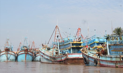 Tàu cá neo đậu trong khu vực an toàn tại vùng biển Bến Tre (ảnh: P.V)