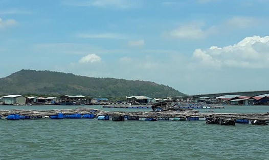 Lồng bè cá Long Sơn và người dân sẽ được di dời nếu bão tới