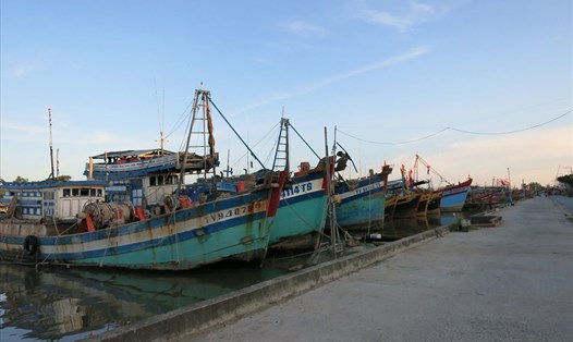 Các tàu thuyền di chuyển vào khu vực neo đậu an toàn trên vùng biển Trà Vinh (ảnh: P.V)