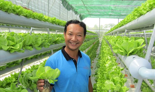Anh Khôi tại cơ sở sản xuất rau sạch. 