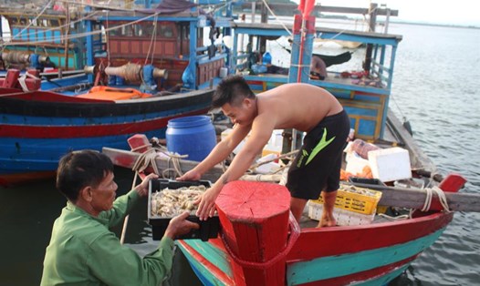 Tàu cá của ngư dân Trần Văn Lộc trúng đậm tôm, cá thu về 20 triệu sau một ngày ra khơi. Ảnh: TRẦN TUẤN