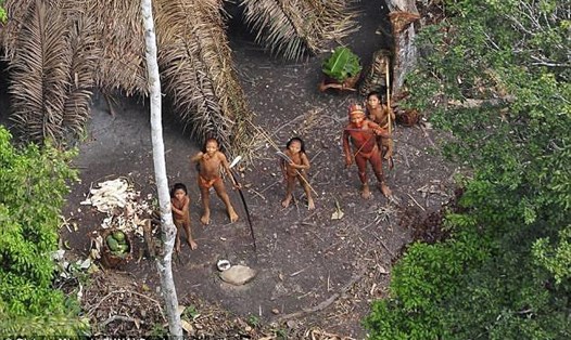 Truyền thông Brazil đưa tin, khoảng 20 thổ dân bị thợ đào vàng sát hại. Ảnh: D.M