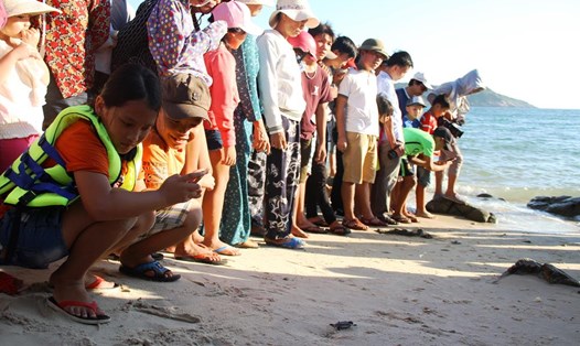 Không chỉ những em bé mà người dân xã đảo Tân Hiệp đều rất phấn khởi khi chứng kiến rùa Côn Đảo bơi trên biển Cù Lao Chàm - điều mà hơn 10 năm nay người dân nơi đây không còn thấy nữa. Ảnh: LP
