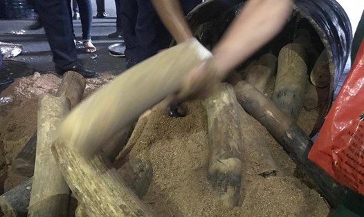 Thủ đoạn cất giấu ngà voi trong thùng phuy nhựa đường bị Hải quan phát hiện. Ảnh: Trường Sơn