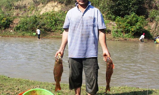 Tình trạng cá chết hàng loạt và có nguy cơ đe dọa đến sức khỏe người dân. Ảnh: VD.