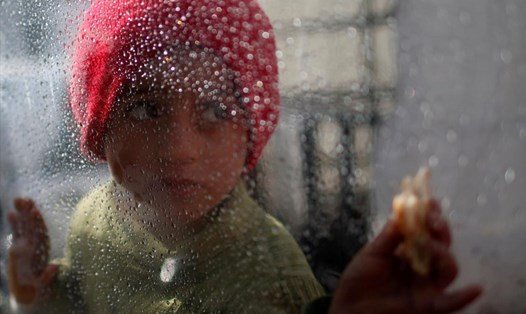 Bé gái người Palestine nhìn qua ô cửa kính ở Gaza. Ảnh: Reuters