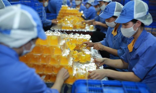 Người lao động trong dây chuyền sản xuất của một doanh nghiệp tư nhân trong KCN Gia Lộc, tỉnh Hải Dương. Ảnh: HẢI NGUYỄN
