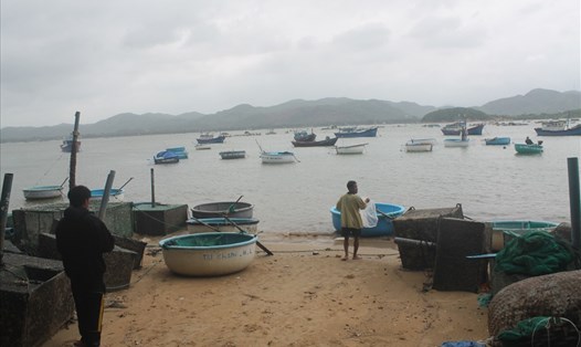 Vùng nuôi thủy, hải sản ở thị xã Sông Cầu, tỉnh Phú Yên. Ảnh: Nhiệt Băng