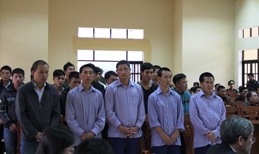21 bị cáo liên quan đến vụ phá rừng pơ mu ở huyện Nam Giang (Quảng Nam) bị đưa ra xét xử. Ảnh: LP