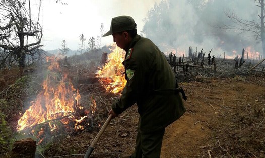 Mở đường băng cản lửa, chống cháy rừng ở Mù Căng Chải.