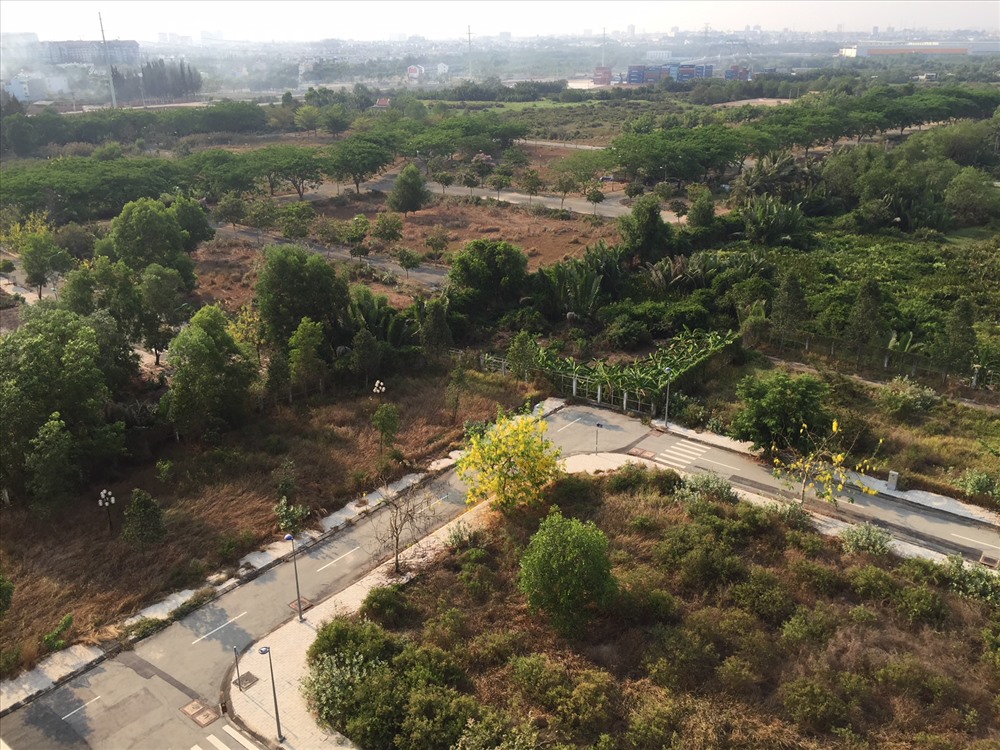 Đang có hiện tương gom đất để trục lợi theo quy định tách thửa mới.
