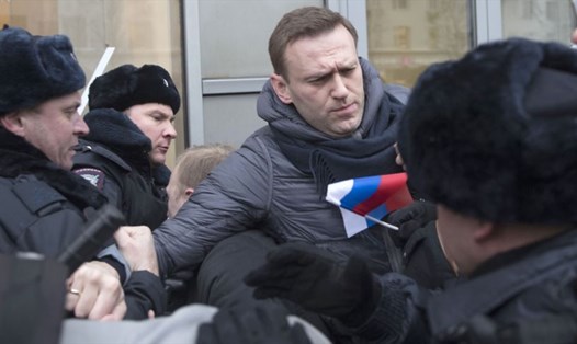 Alexei Navalny bị bắt rồi lại được thả hôm 28.1. Ảnh: AP