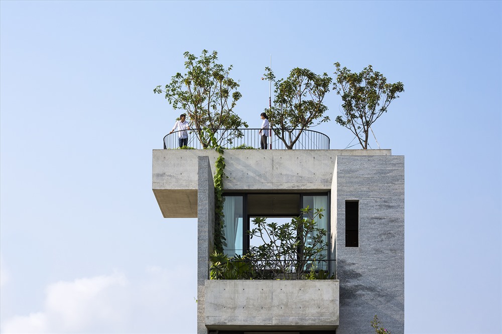 Nhà xanh cho cây. Chùm ảnh: Hiroyuki Oki, Quang Đàm