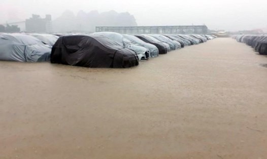 Những bức ảnh gây xôn xao về sự việc những mẫu xe Hyundai bị ngập nước trong nhà máy tại Ninh Bình tháng 10.2017.