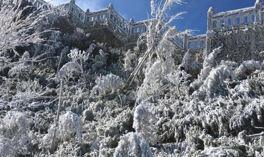 Mưa tuyết xuất hiện trên đỉnh núi Fansipan sáng ngày 19/12/2017. (Ảnh: Công ty dịch vụ cáp treo Fansipan Sa Pa)
